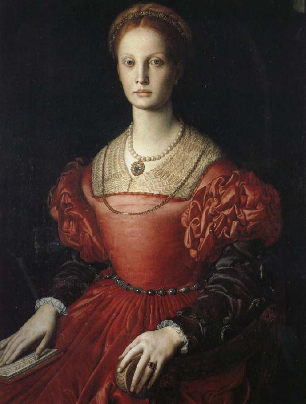 Agnolo Bronzino Pan Qiadi wonderful portrait France oil painting art